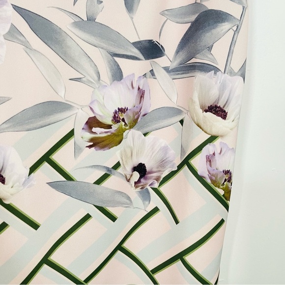 NEW Ted Baker London Hailey Everglade Printed Dress Garden Party Wedding Pastel - Picture 6 of 10